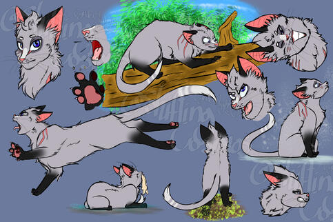 Jaggedclaw: Warrior Cat Fan Design: 2018